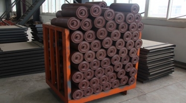 Carrier roller 